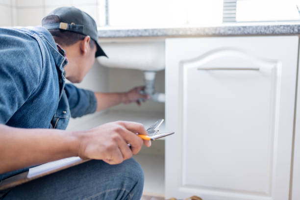Best Clogged Drain Plumber  in Woodburn, IN